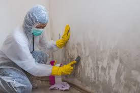 Best Forensic Mold Investigation  in Westlake, TX